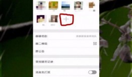 娱乐吃瓜微信群怎么进的,如何轻松加入娱乐吃瓜微信群？